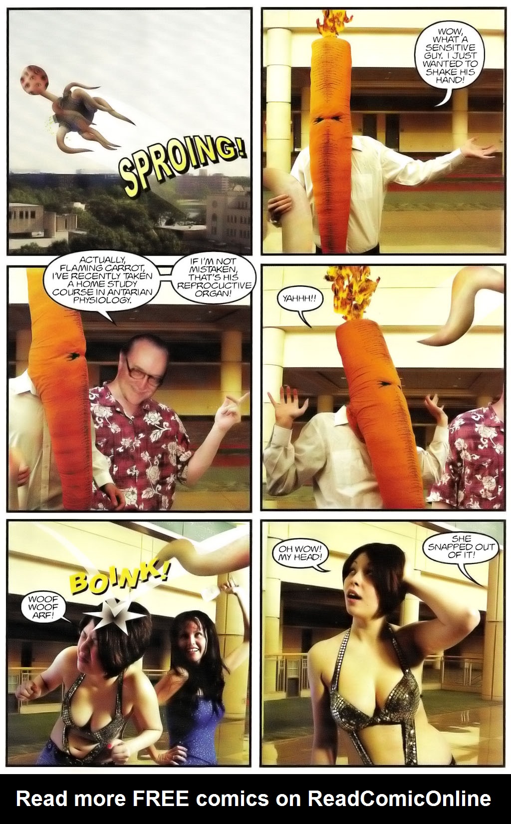 Read online Flaming Carrot Special comic -  Issue # Full - 33