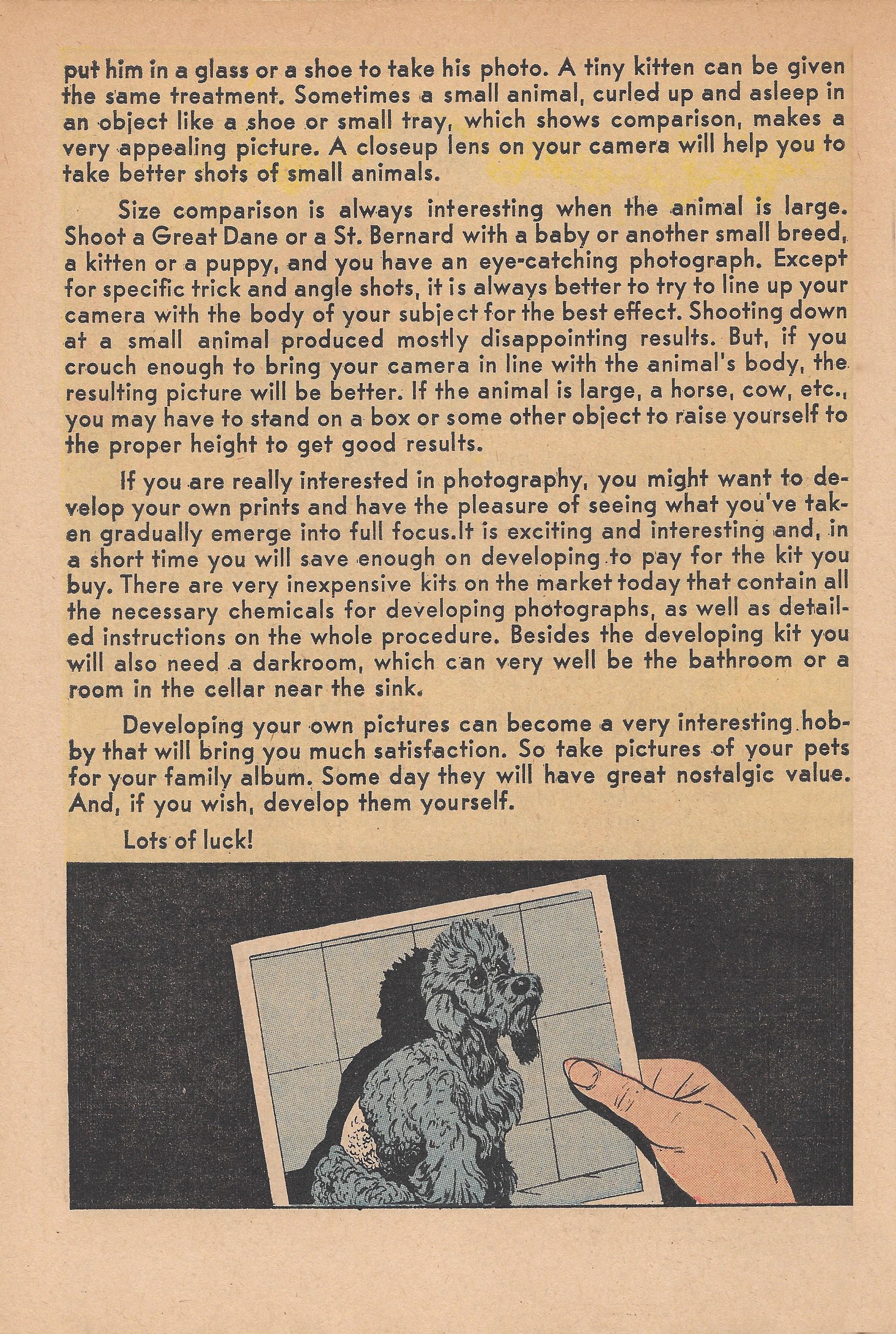 Read online Archie's Pals 'N' Gals (1952) comic -  Issue #17 - 50