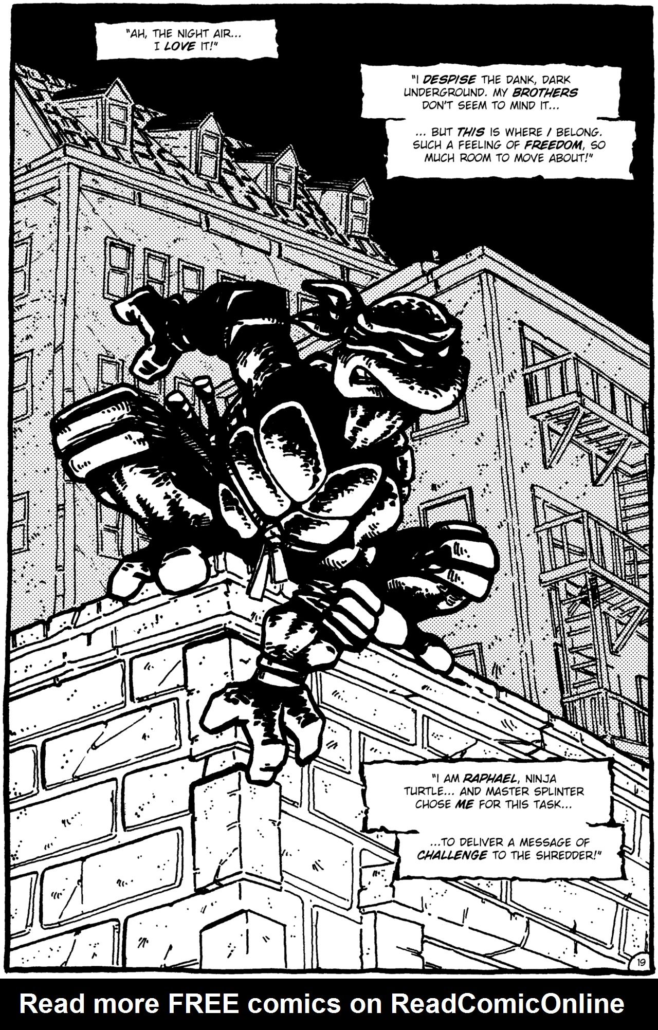 Read online Teenage Mutant Ninja Turtles (1984) comic -  Issue #1 - 20