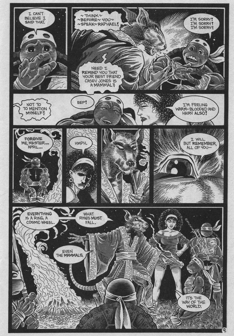 Teenage Mutant Ninja Turtles (1984) Issue #37 #37 - English 10
