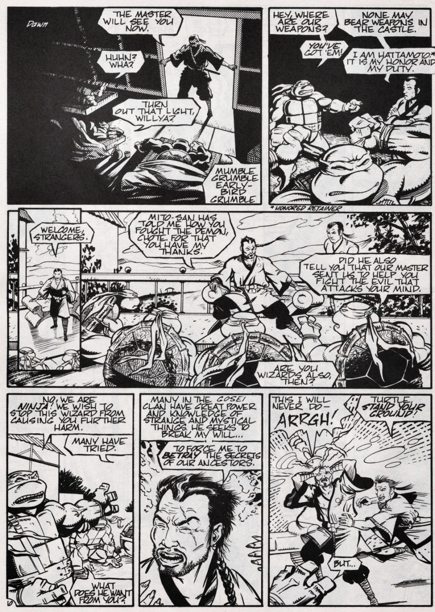 Teenage Mutant Ninja Turtles (1984) Issue #47 #47 - English 11
