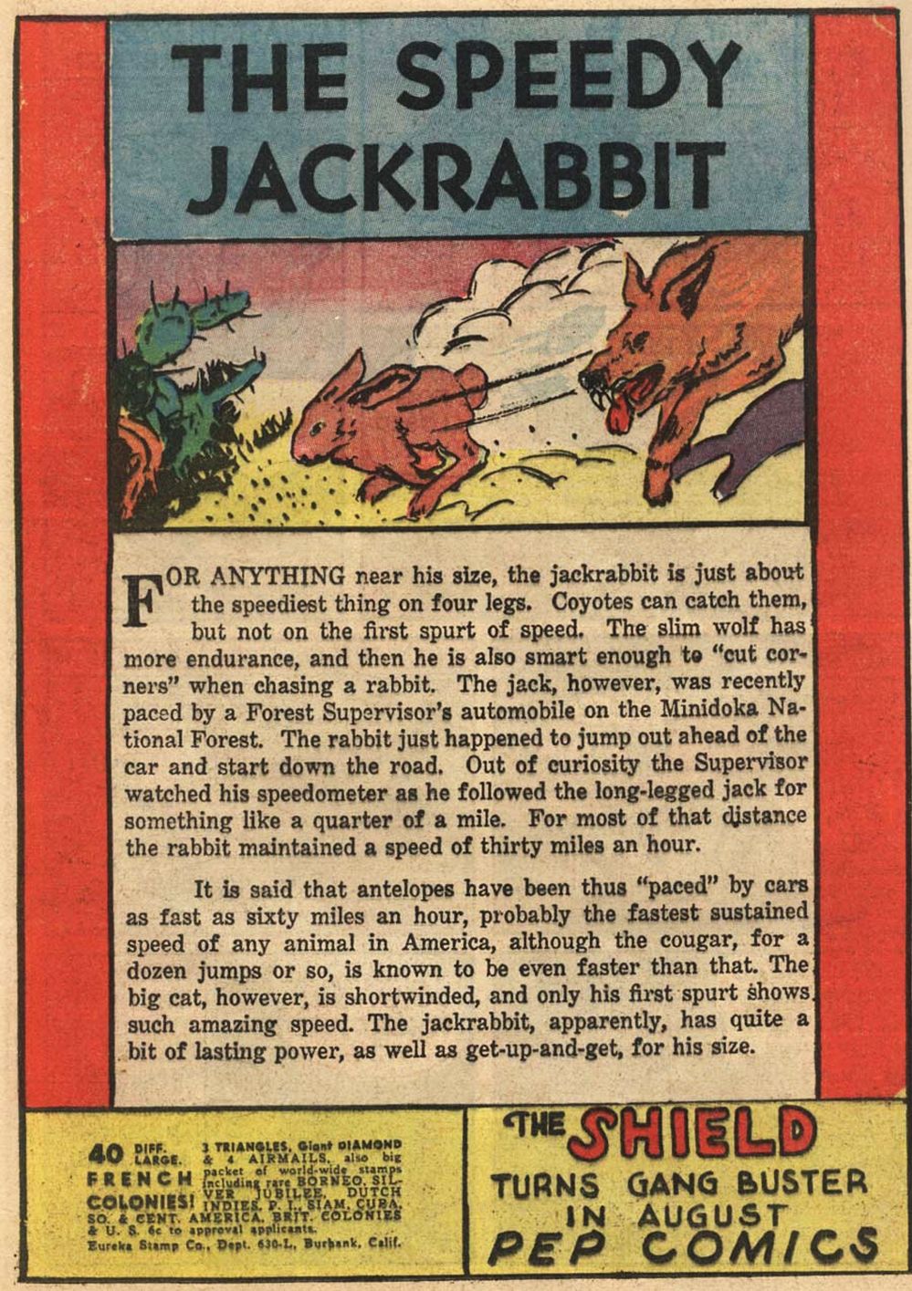Zip Comics issue 6 - Page 44