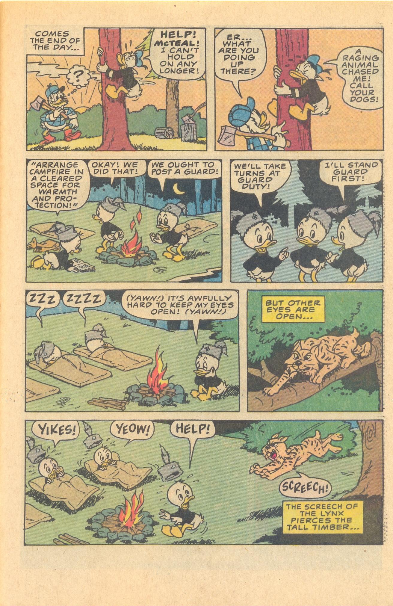 Read online Huey, Dewey, and Louie Junior Woodchucks comic -  Issue #81 - 33