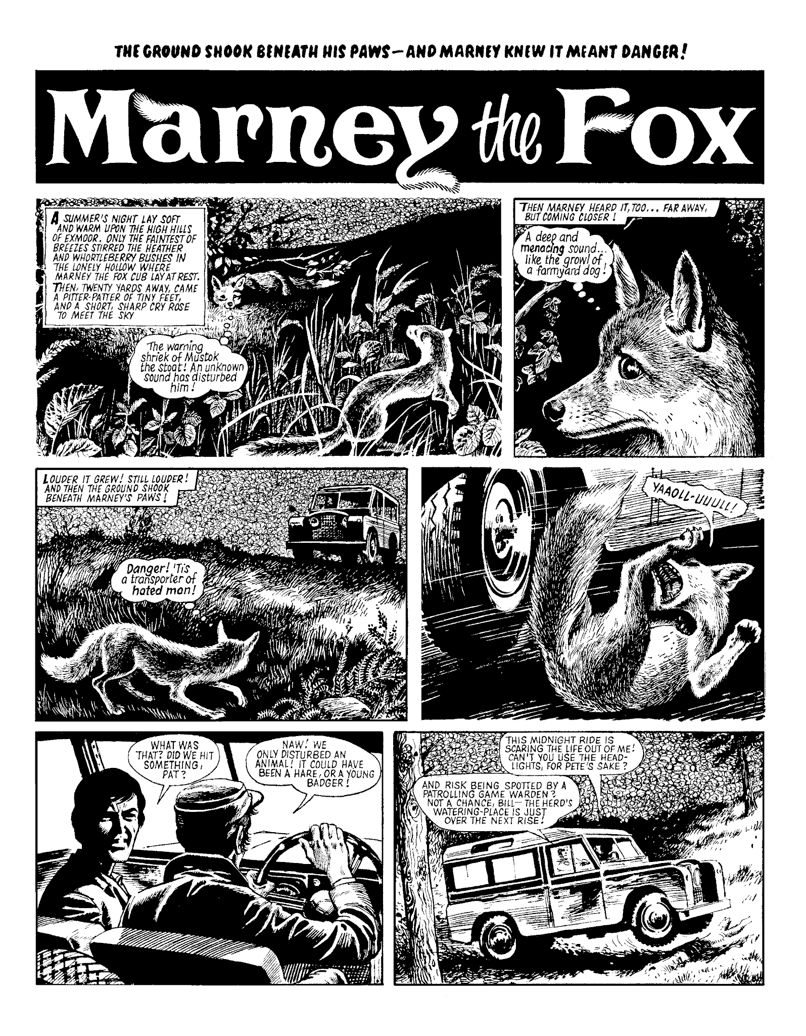 Read online Marney the Fox comic -  Issue # TPB (Part 2) - 4