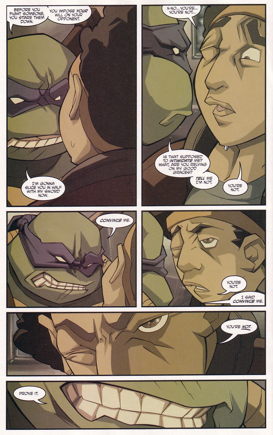 Teenage Mutant Ninja Turtles (2003) Issue #6 #6 - English 16