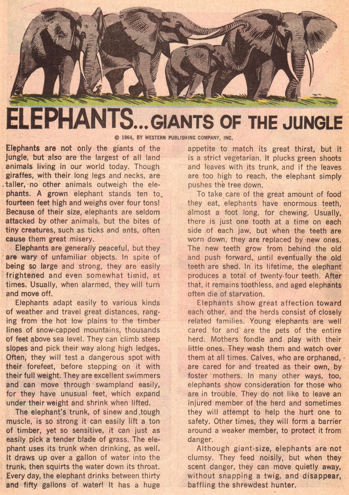 Read online Korak, Son of Tarzan (1964) comic -  Issue #28 - 28