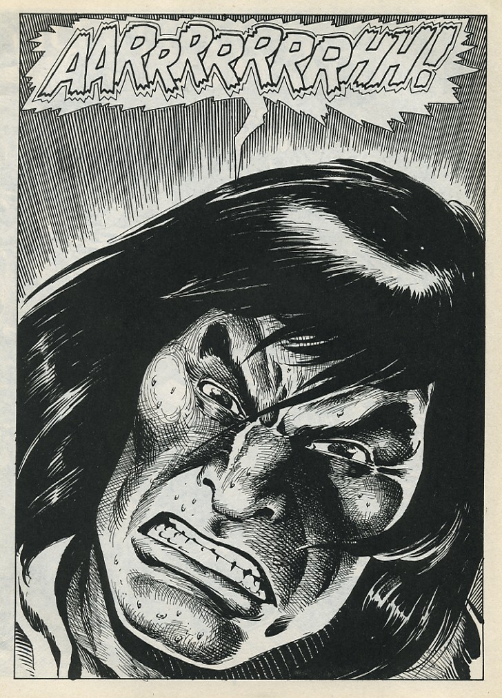 The Savage Sword Of Conan issue 199 - Page 3