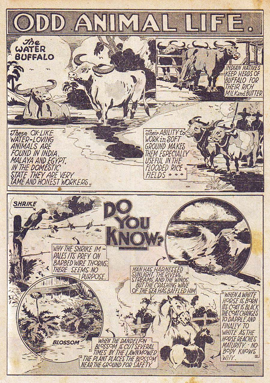 Read online More Fun Comics comic -  Issue #31 - 37