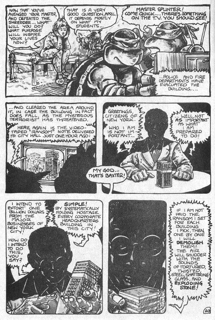 Teenage Mutant Ninja Turtles (1984) Issue #2 #2 - English 22