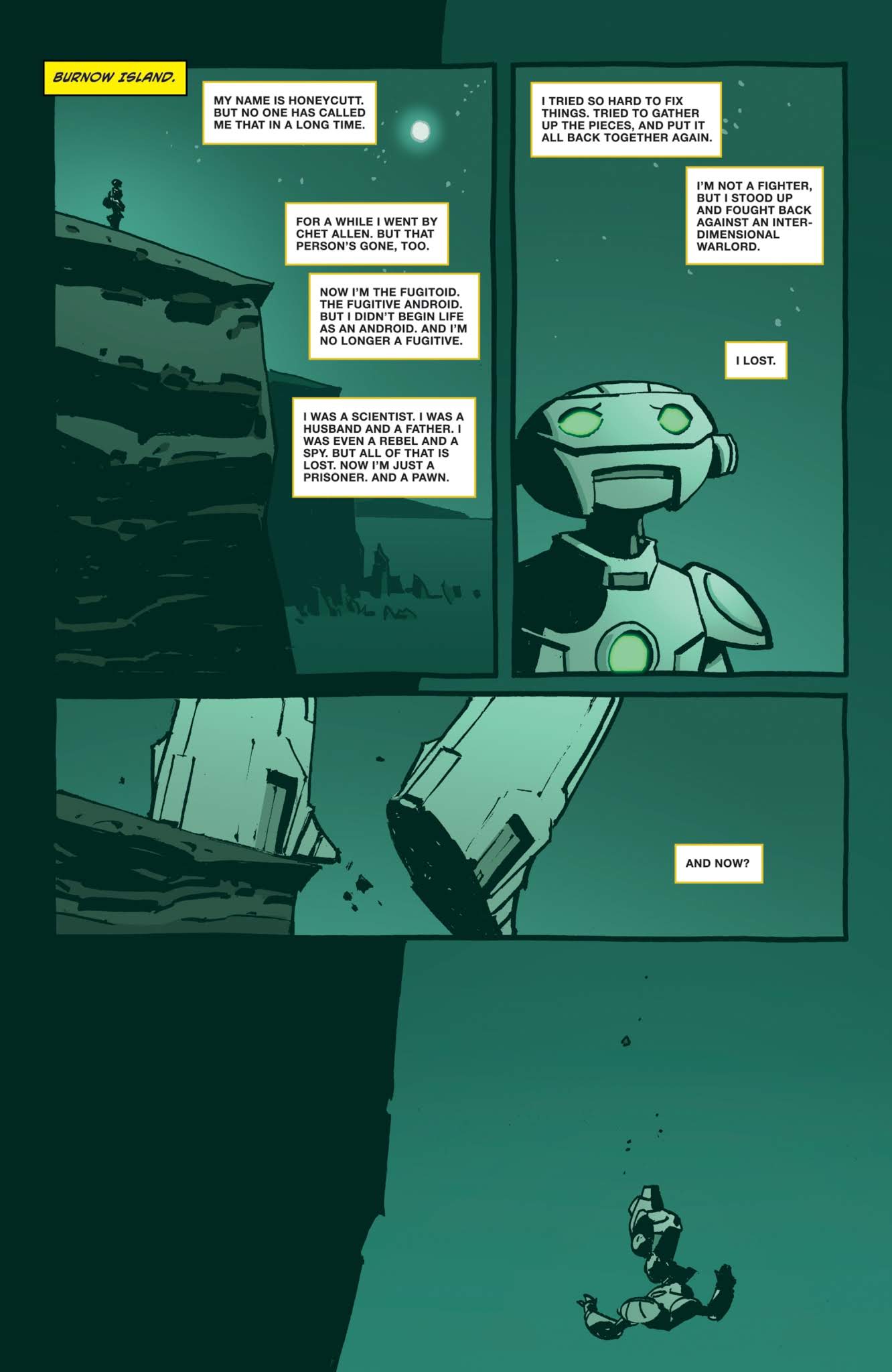 Read online Teenage Mutant Ninja Turtles (2011) comic -  Issue #88 - 26