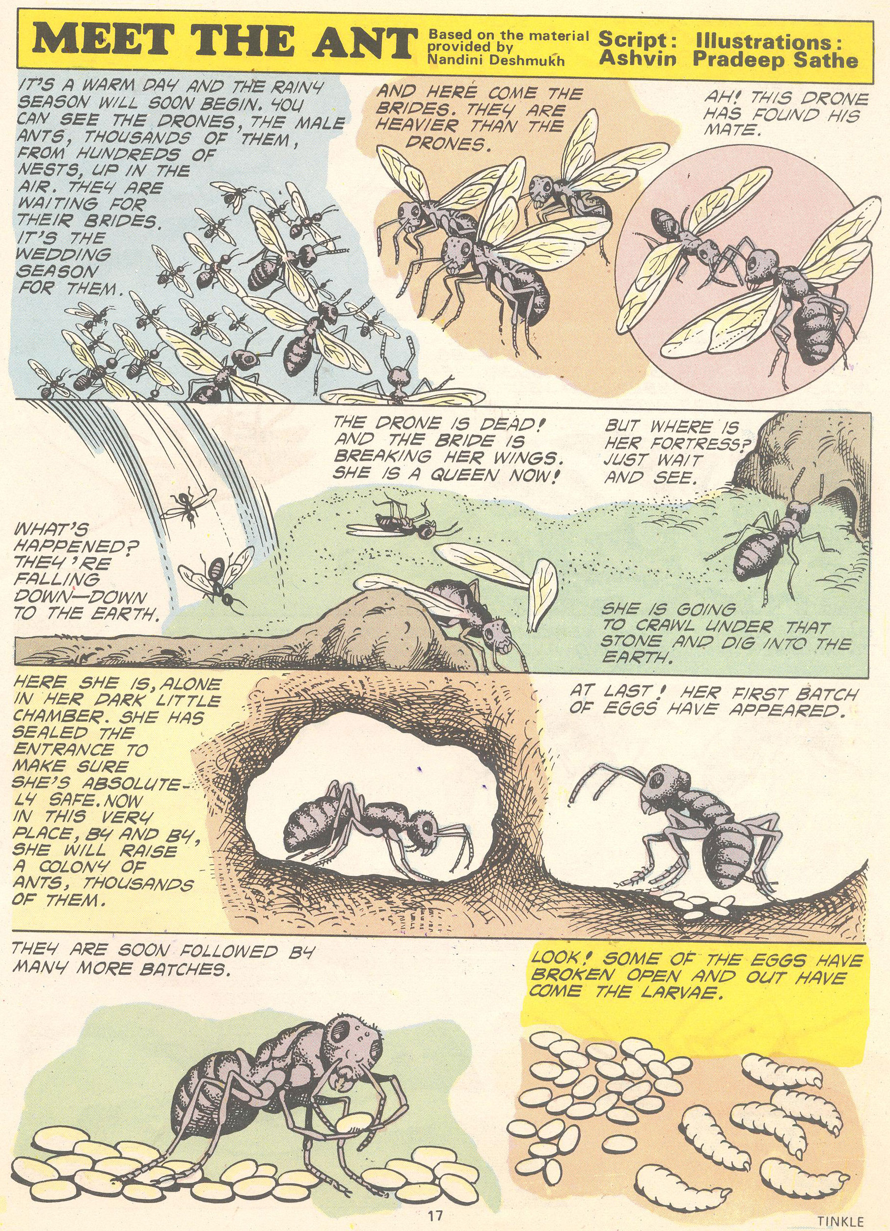 Read online Tinkle comic -  Issue #5 - 19
