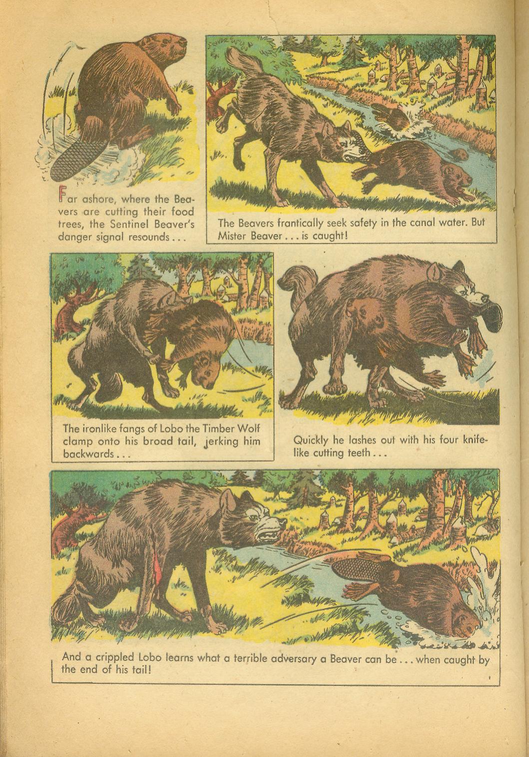 Read online Four Color Comics comic -  Issue #625 - 20