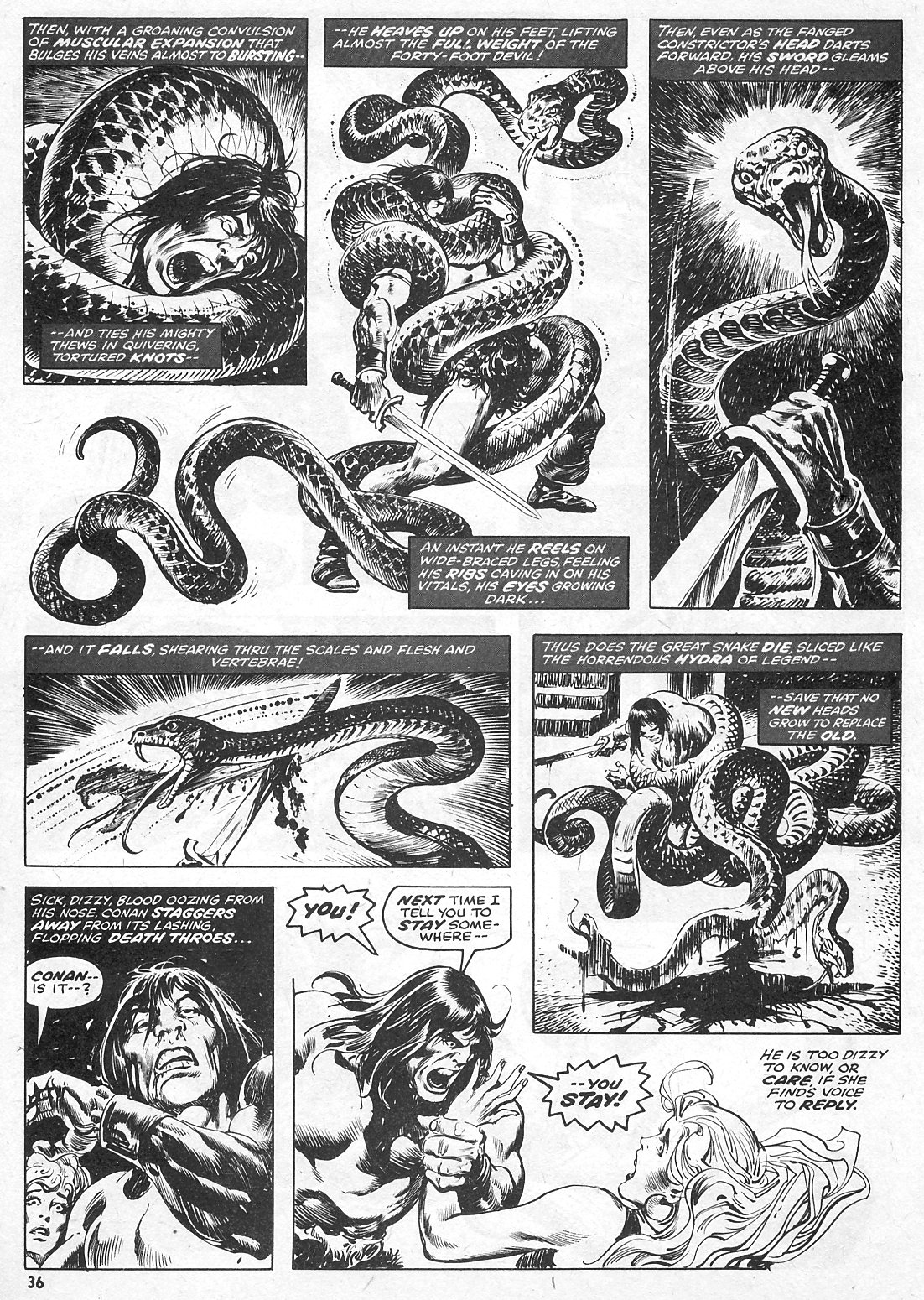 Read online The Savage Sword Of Conan comic -  Issue #15 - 36