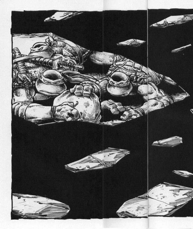 Read online Teenage Mutant Ninja Turtles (1984) comic -  Issue #50 - 45