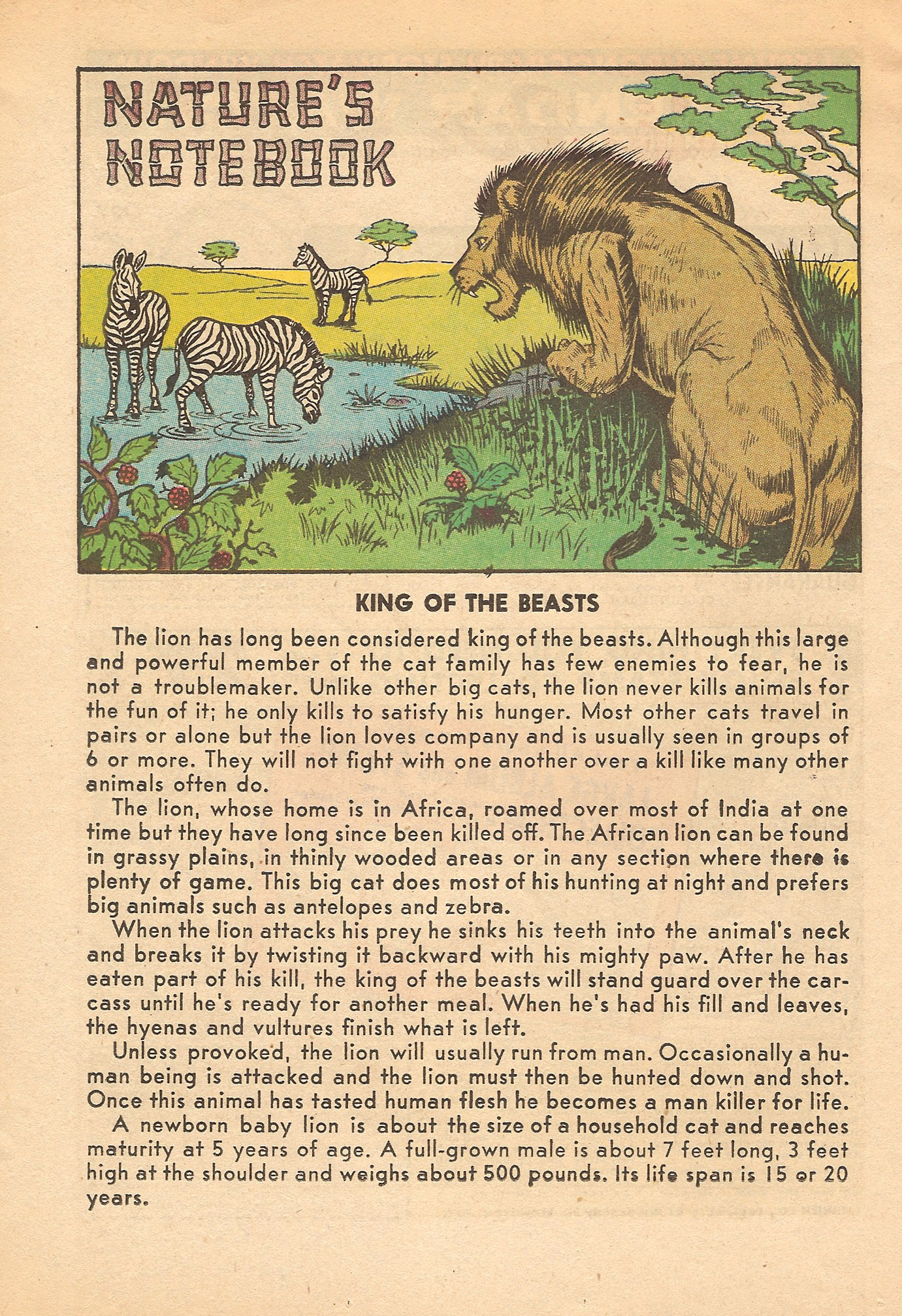 Read online Archie's Pal Jughead comic -  Issue #45 - 26