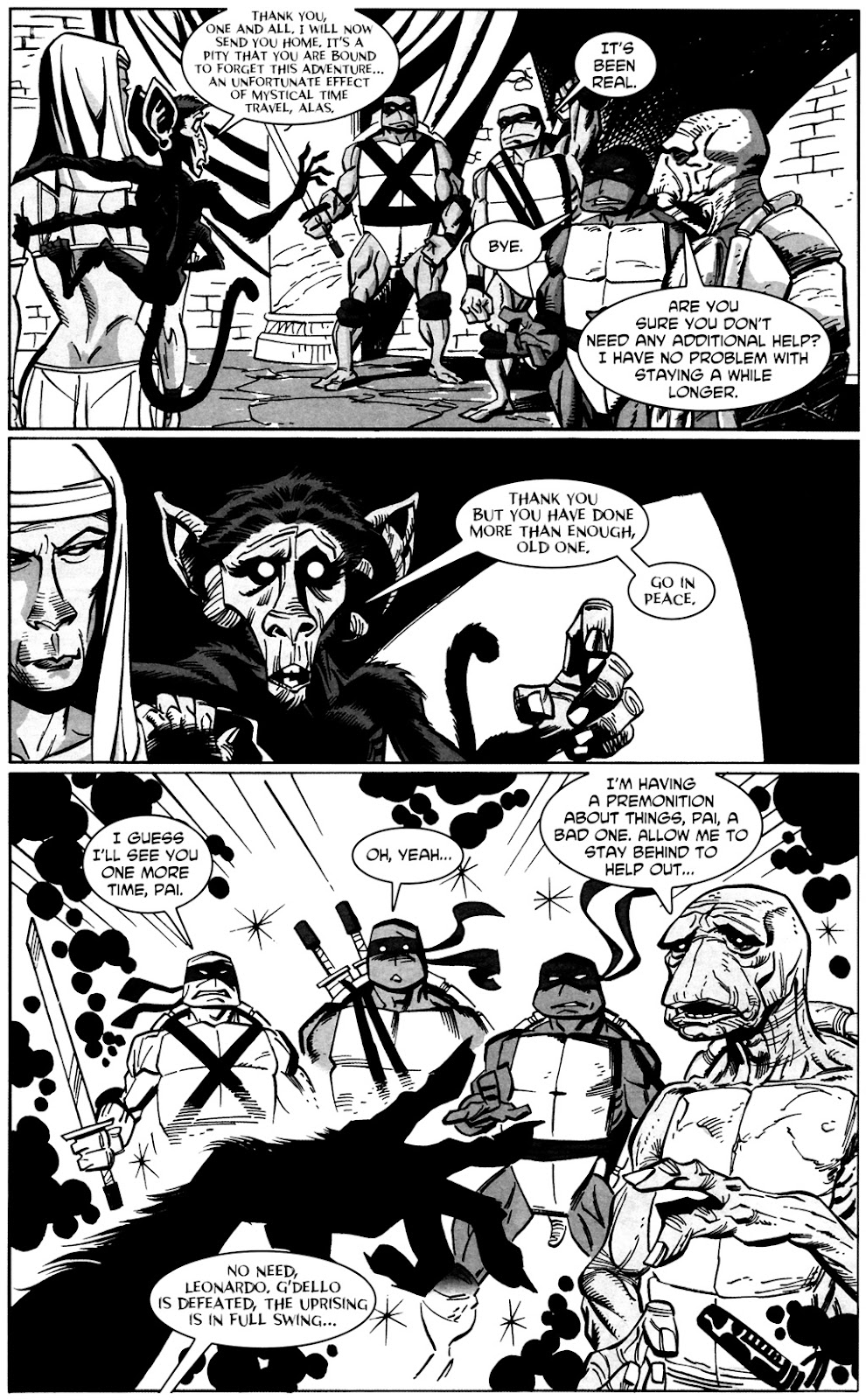 Tales of the TMNT issue 14 - Page 24