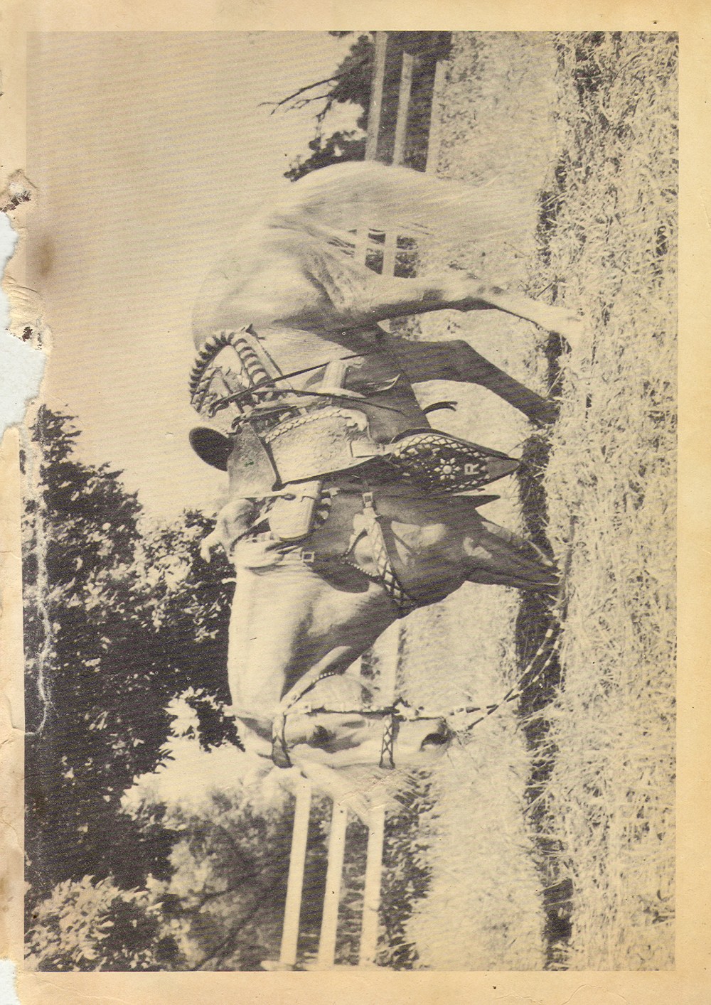 Read online Four Color Comics comic -  Issue #329 - 35