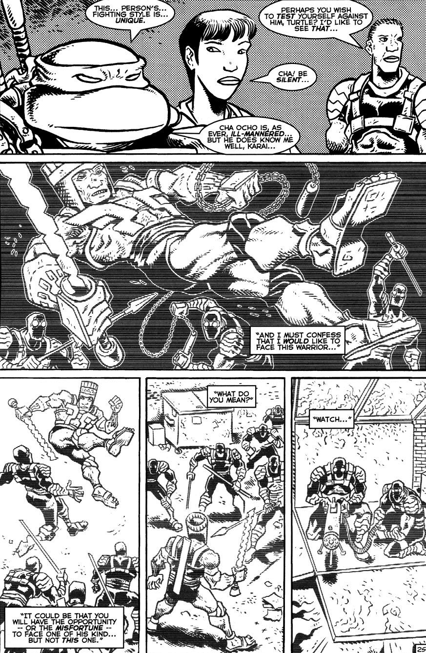 Read online TMNT: Teenage Mutant Ninja Turtles comic -  Issue #14 - 27
