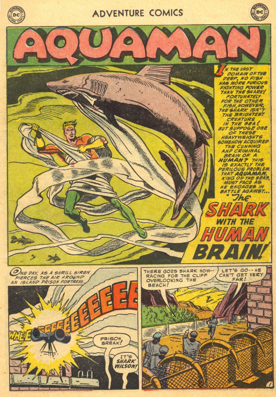 Read online Adventure Comics (1938) comic -  Issue #203 - 17