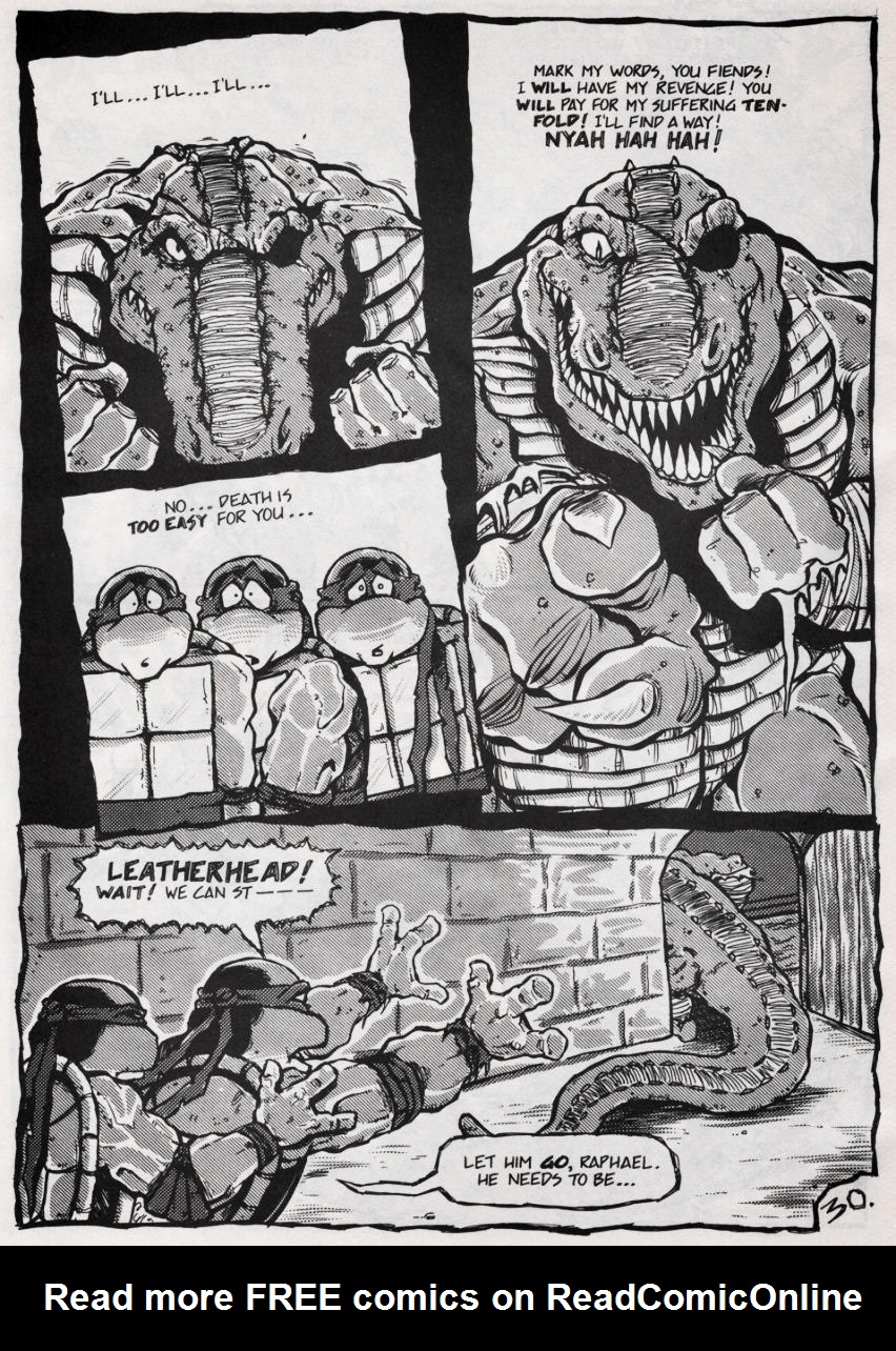 Read online Teenage Mutant Ninja Turtles (1984) comic -  Issue #45 - 27
