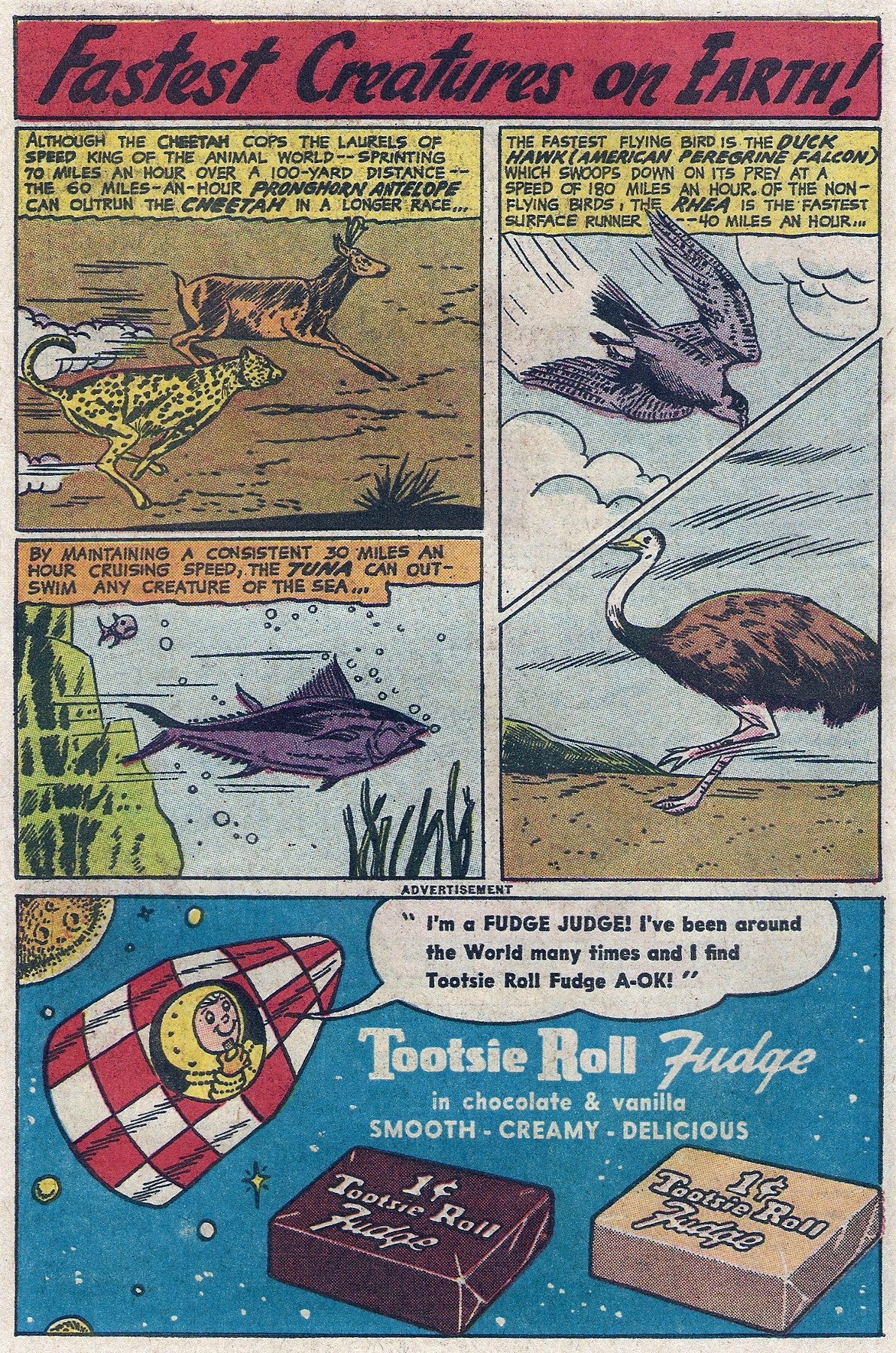 Read online The Brave and the Bold (1955) comic -  Issue #44 - 26
