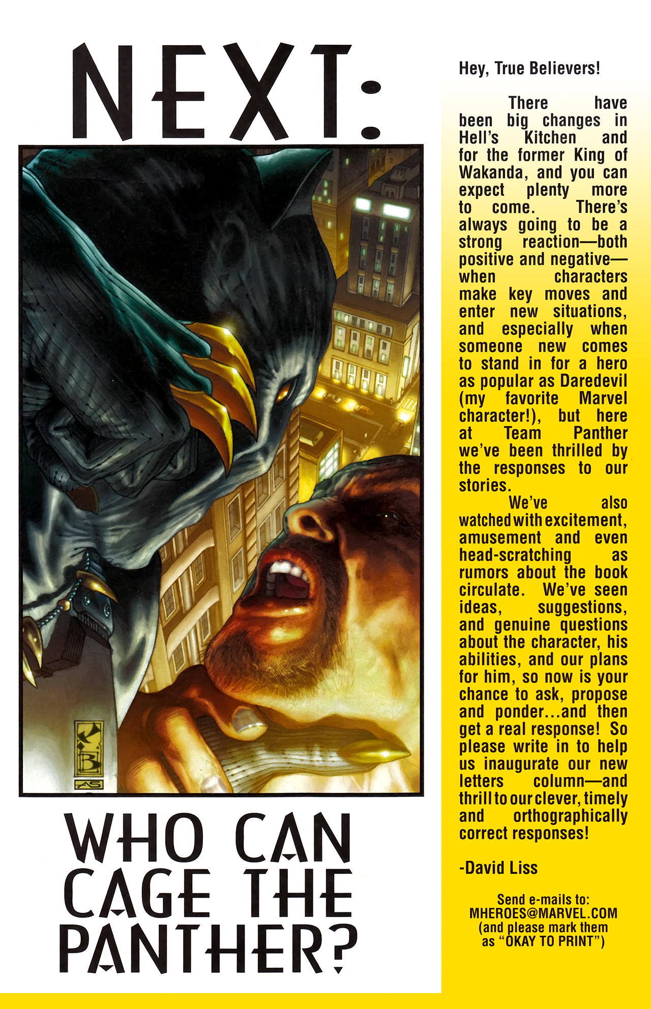 Read online Black Panther: The Man Without Fear comic -  Issue #516 - 26