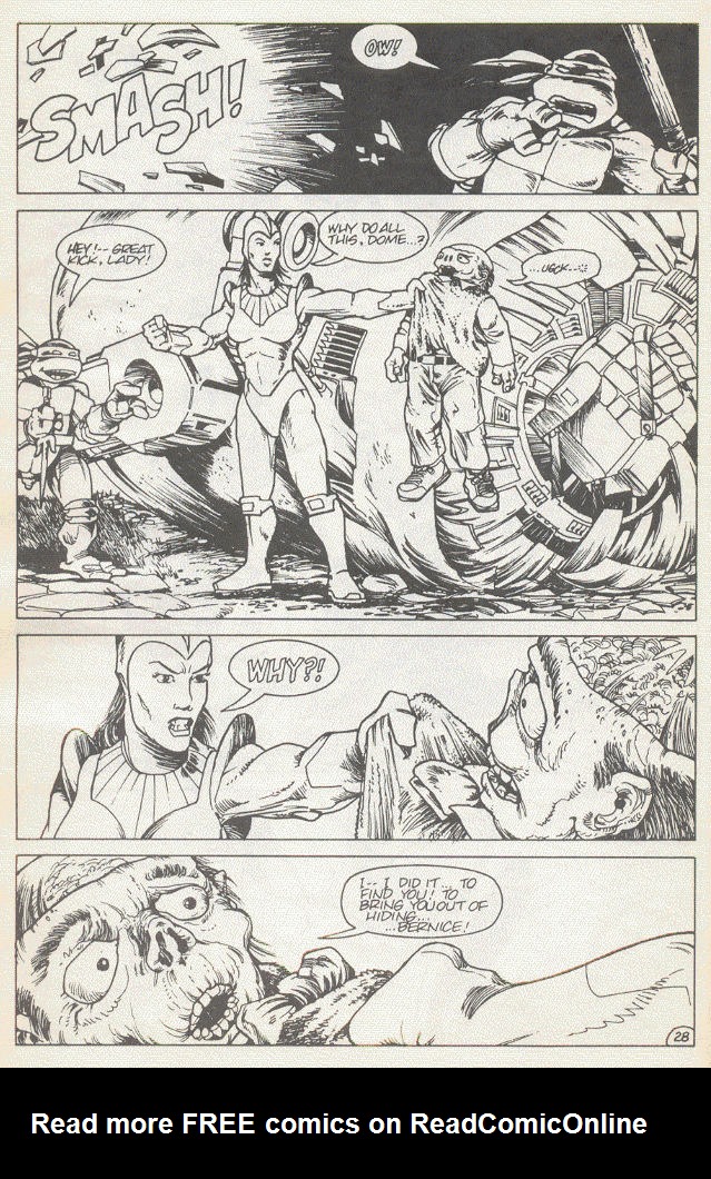 Read online Teenage Mutant Ninja Turtles (1984) comic -  Issue #15 - 31