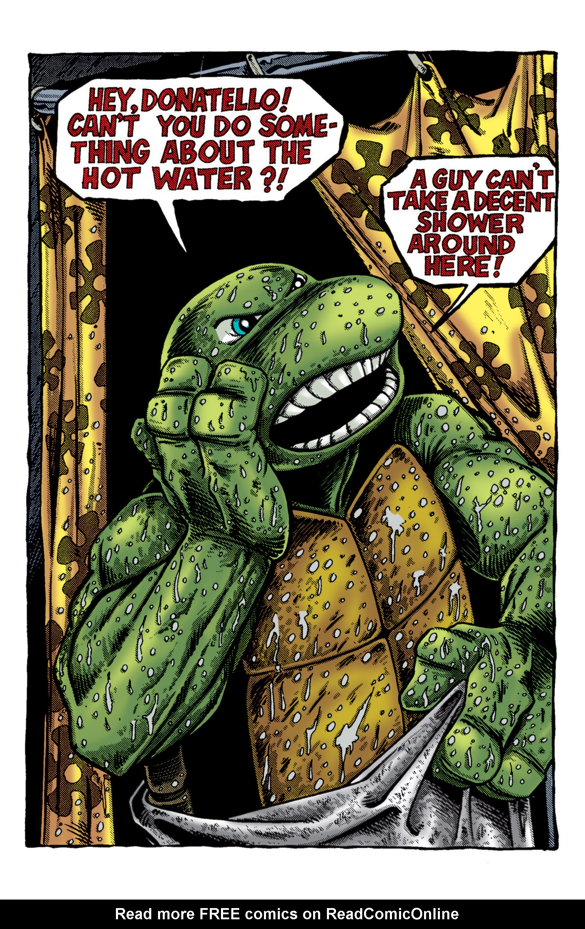 Read online Teenage Mutant Ninja Turtles Color Classics: Donatello Micro-Series comic -  Issue # Full - 3