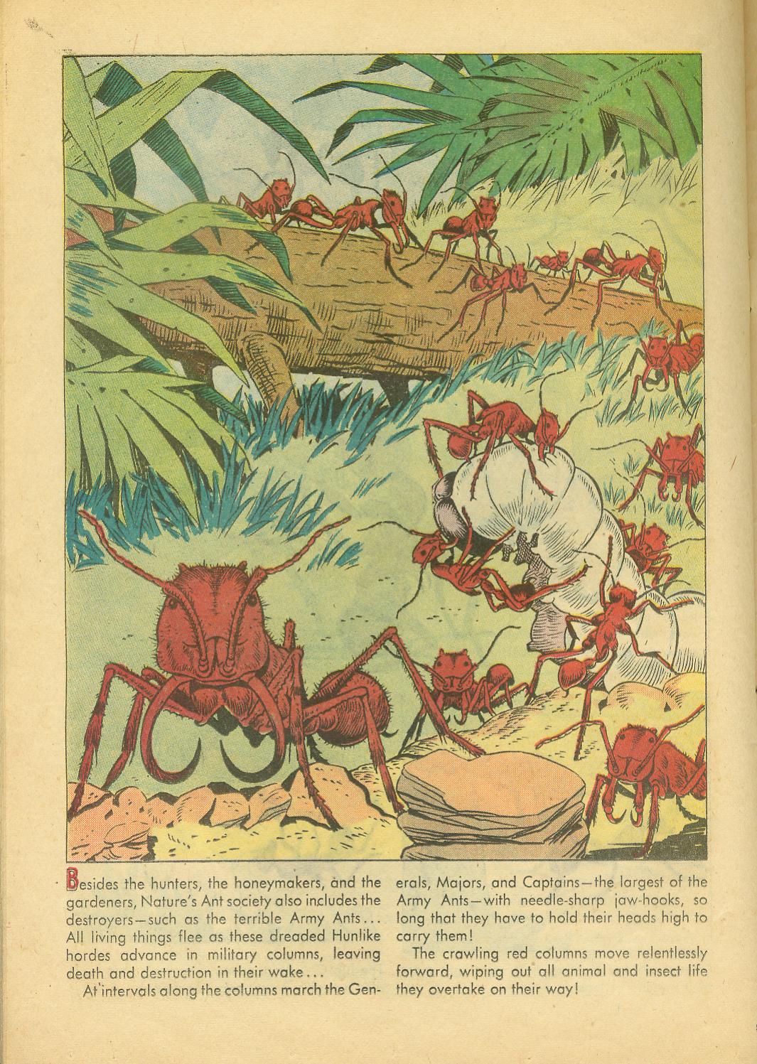 Read online Four Color Comics comic -  Issue #749 - 26