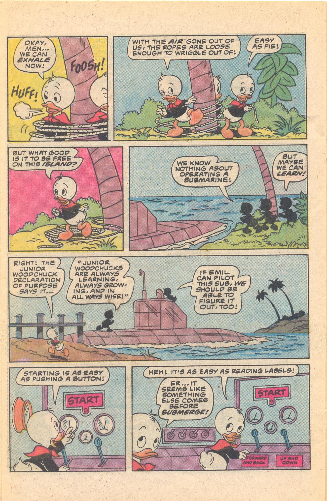 Read online Huey, Dewey, and Louie Junior Woodchucks comic -  Issue #65 - 28