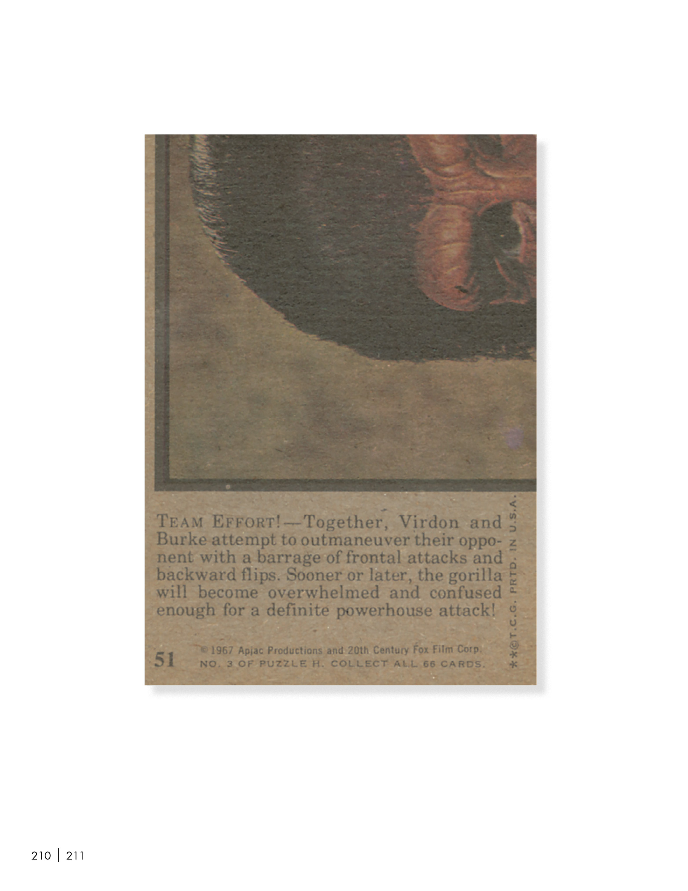 Read online Planet of the Apes: The Original Topps Trading Card Series comic -  Issue # TPB (Part 3) - 15
