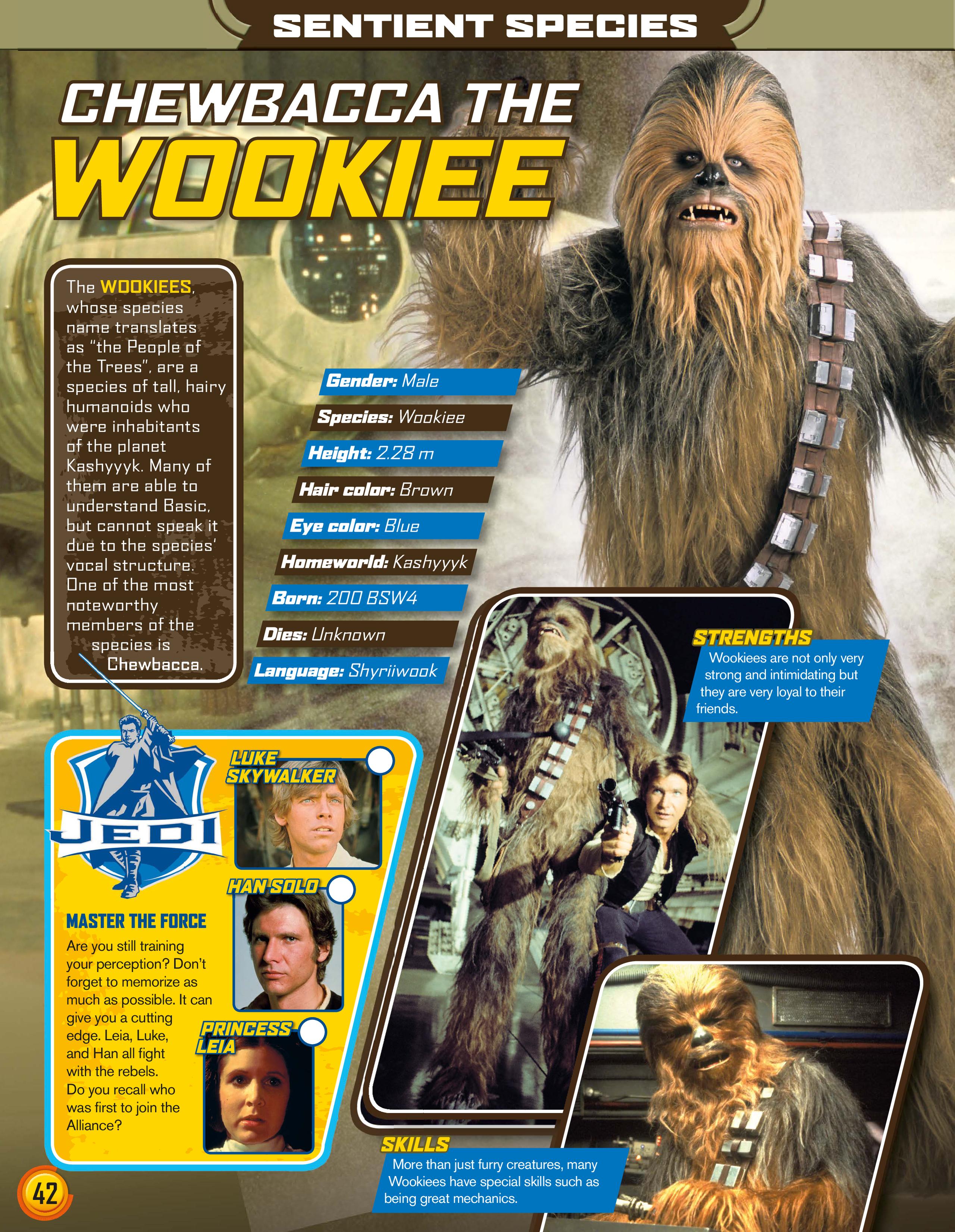 Read online Star Wars Jedi Master Magazine comic -  Issue #4 - 42