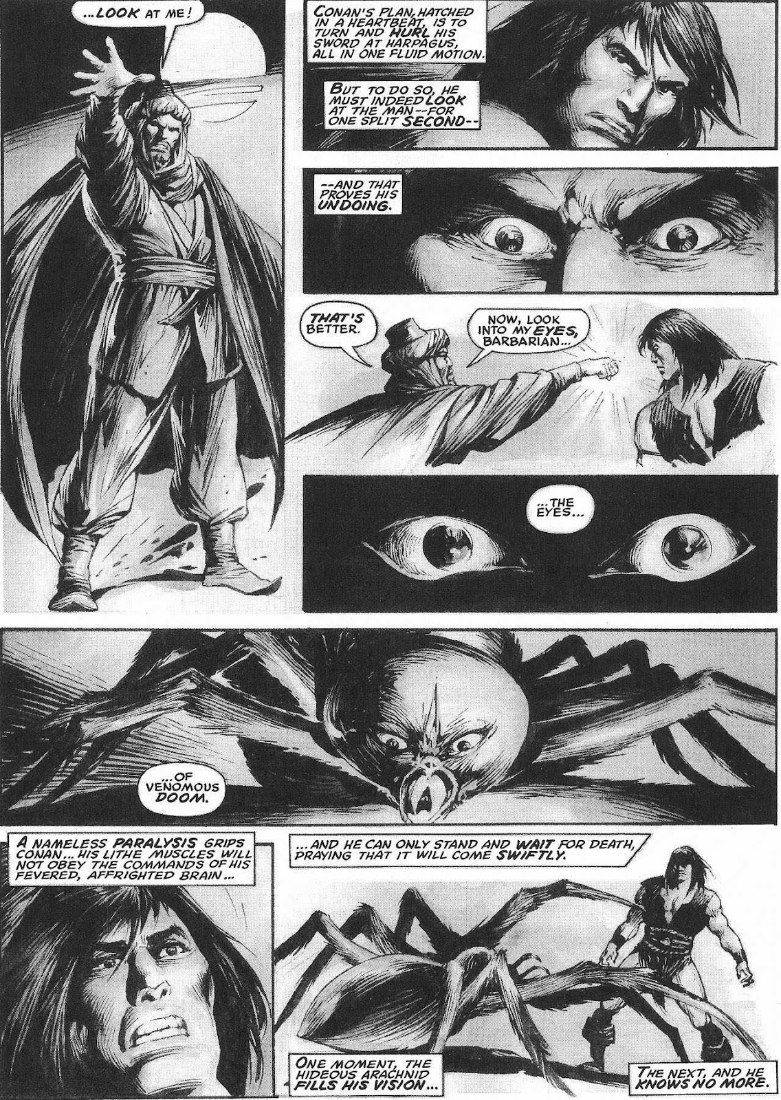 The Savage Sword Of Conan issue 207 - Page 23