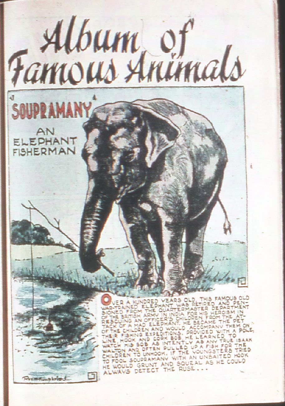 Read online Amazing Man Comics comic -  Issue #18 - 49