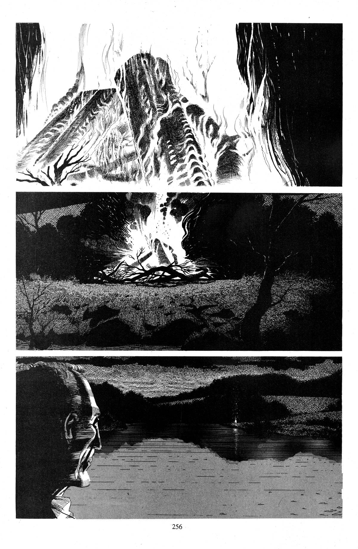 Read online Cerebus comic -  Issue #244 - 13