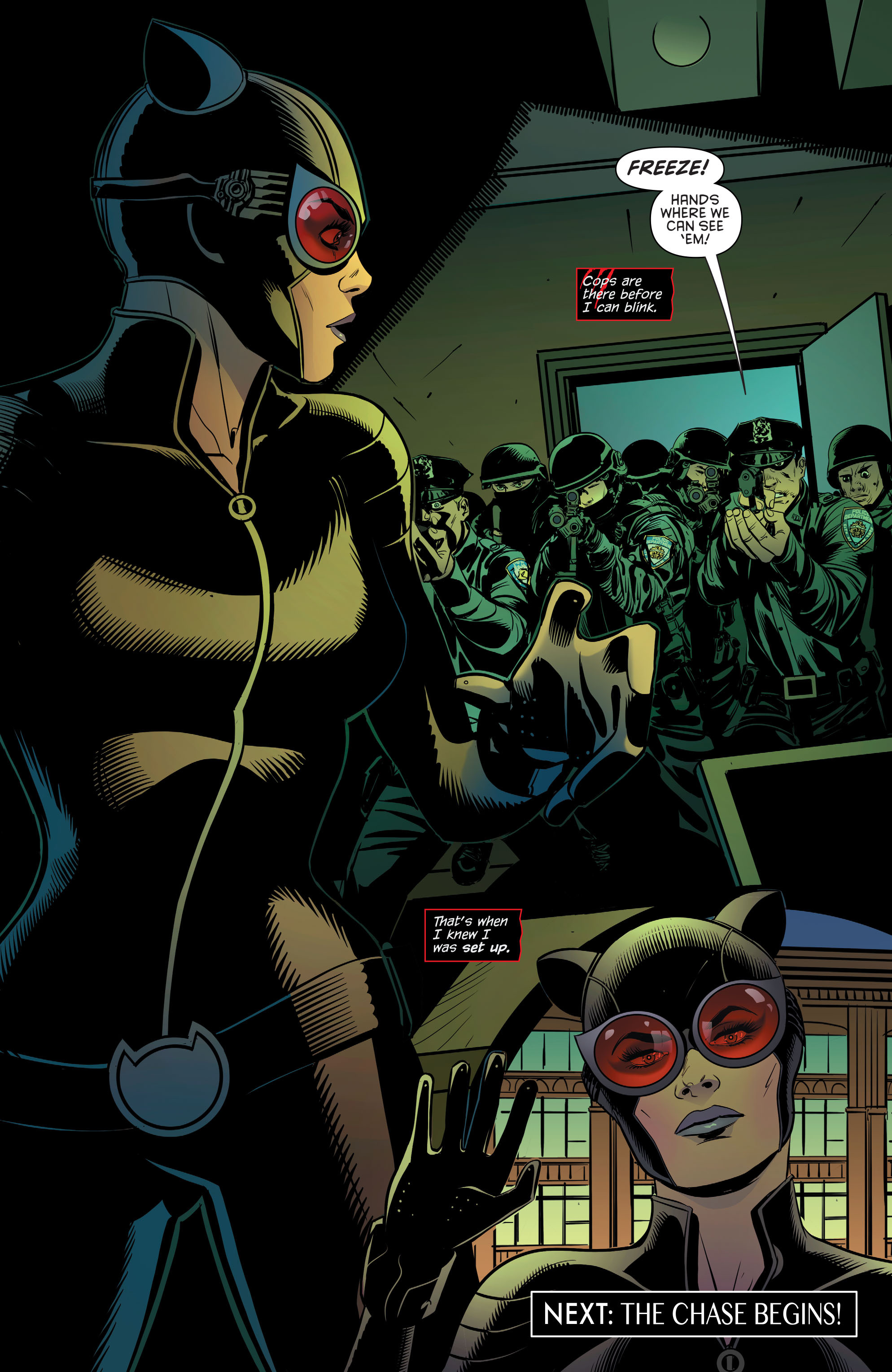 Read online Catwoman (2011) comic -  Issue #47 - 22
