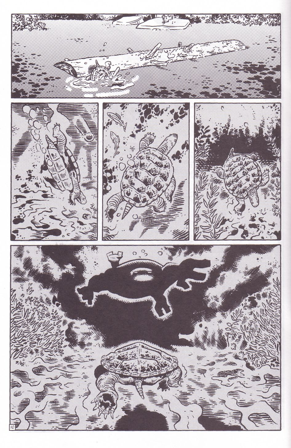 Read online TMNT: Teenage Mutant Ninja Turtles comic -  Issue #11 - 12