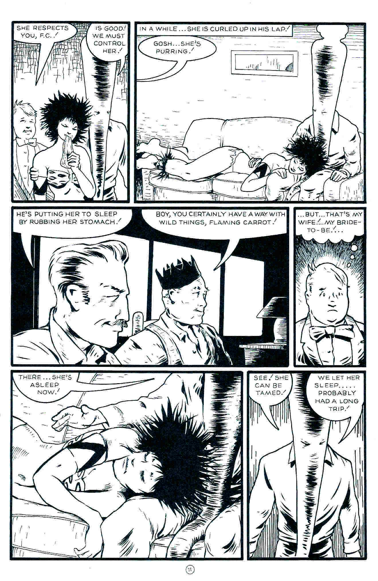 Read online Flaming Carrot Comics (1988) comic -  Issue #18 - 13