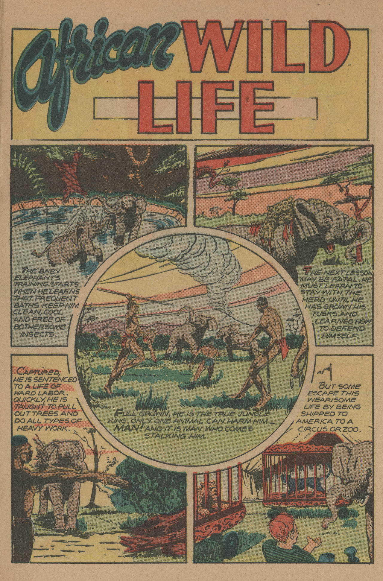 Read online Jungle Comics comic -  Issue #80 - 42