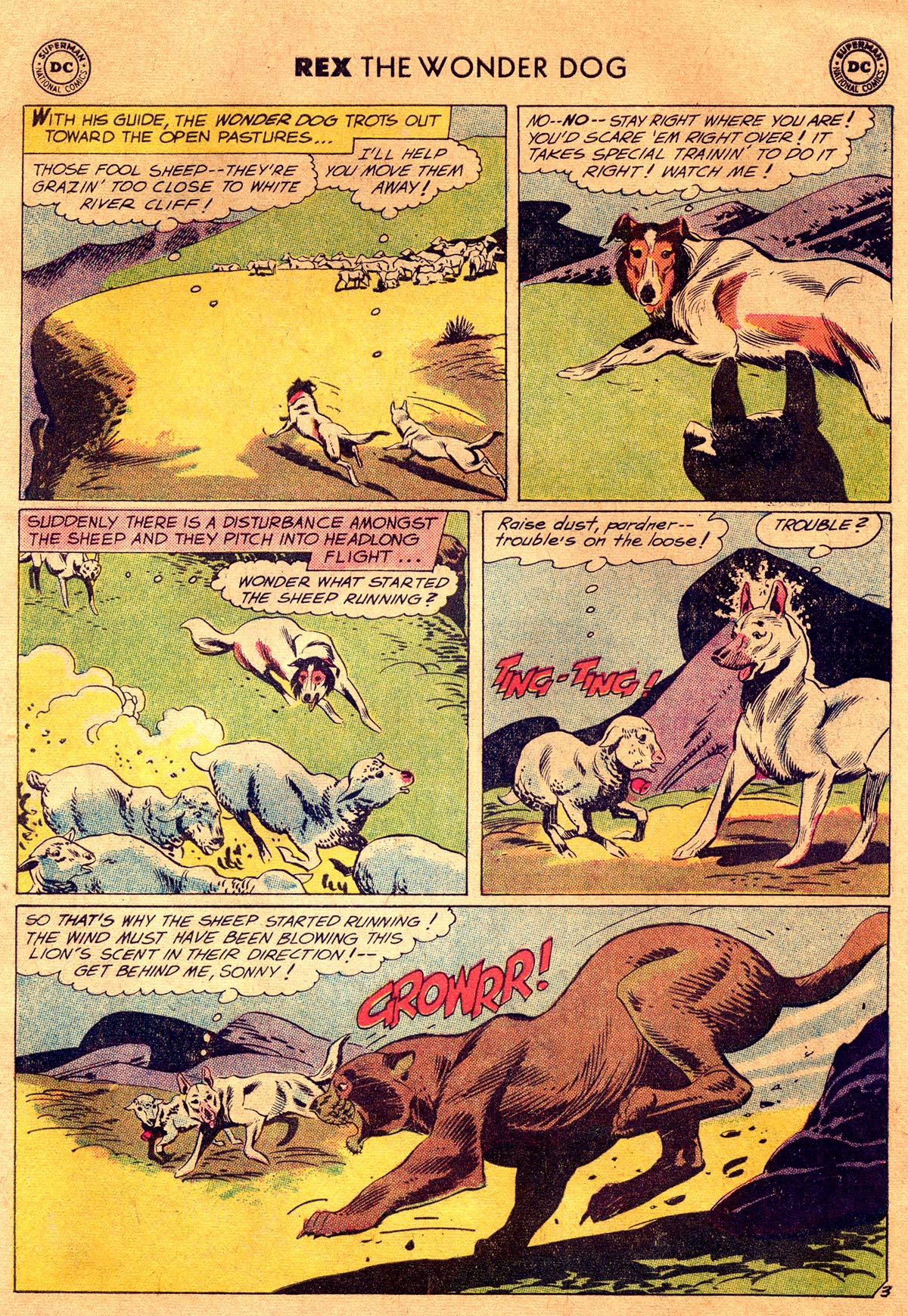Read online The Adventures of Rex the Wonder Dog comic -  Issue #40 - 5