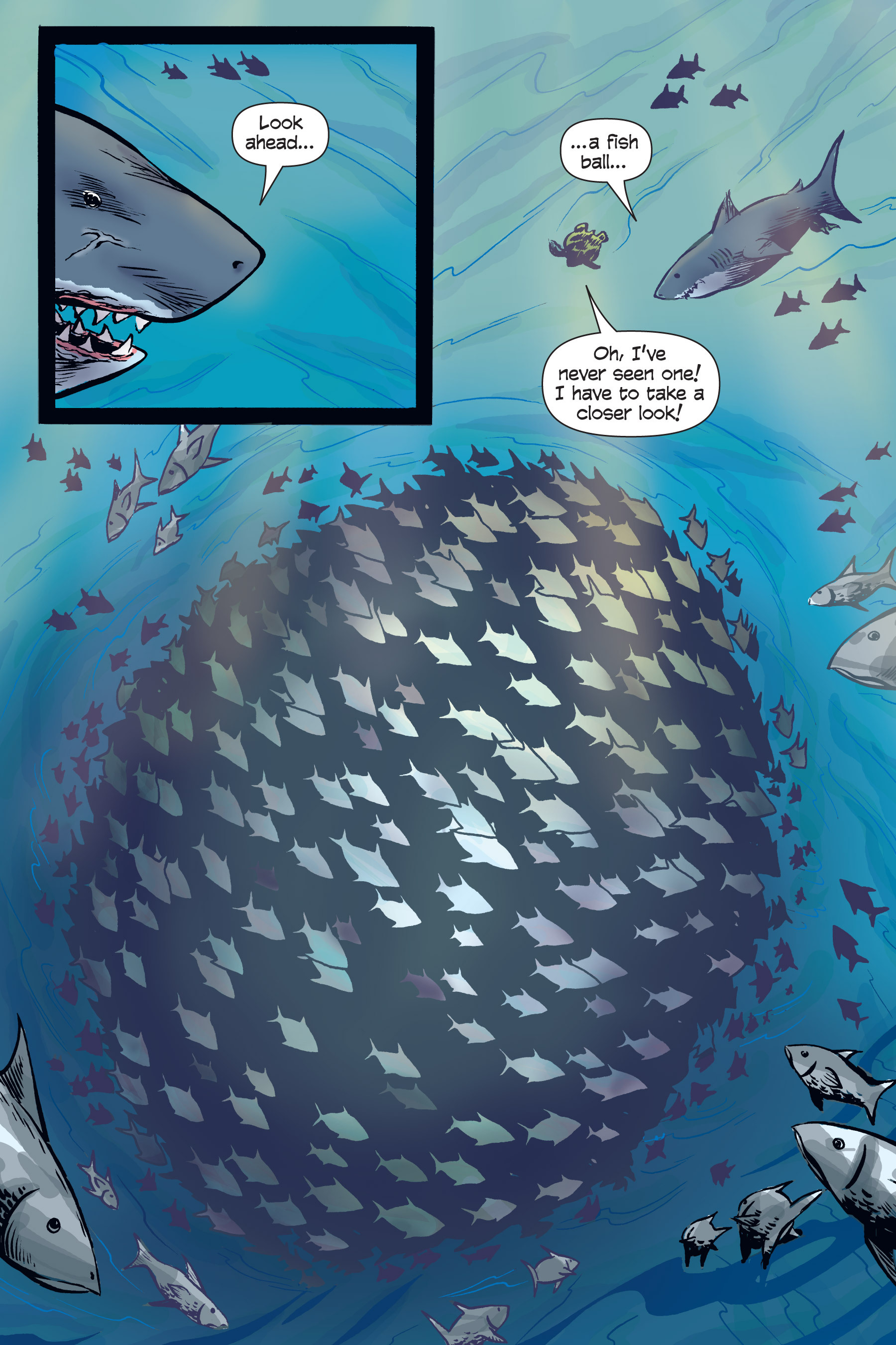 Read online Xoc: Journey of a Great White comic -  Issue # TPB - 84