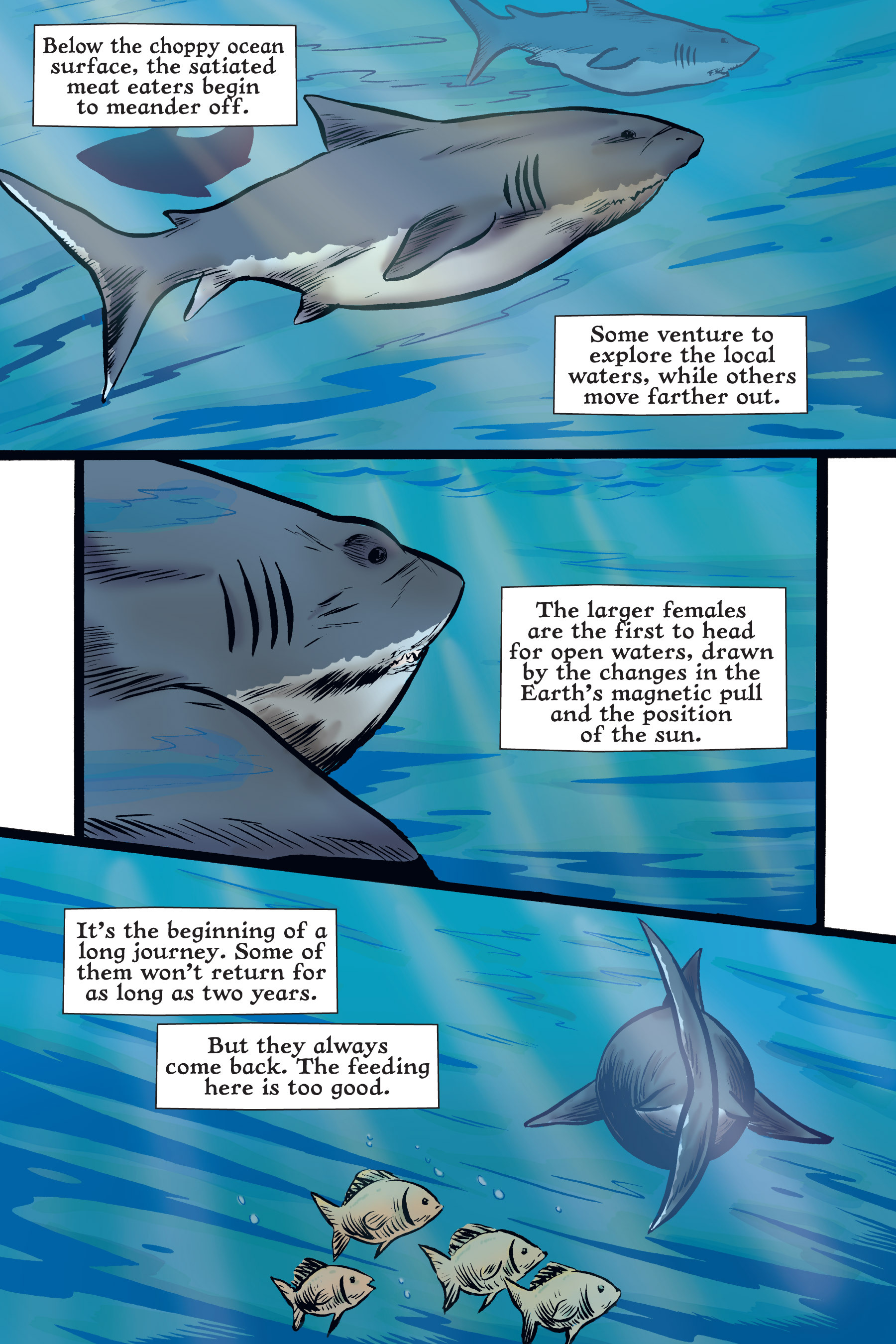 Read online Xoc: Journey of a Great White comic -  Issue # TPB - 28
