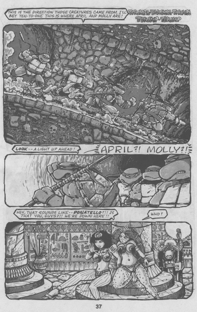 Teenage Mutant Ninja Turtles (1984) Issue #32 #32 - English 37