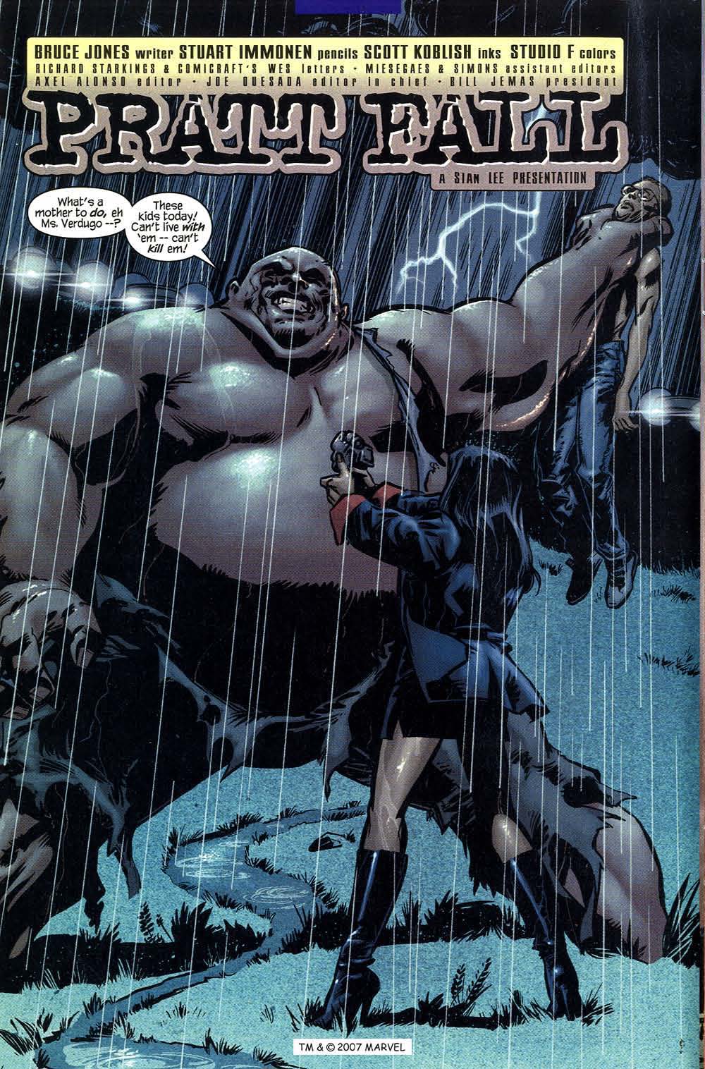 The Incredible Hulk (2000) Issue #49 #38 - English 6