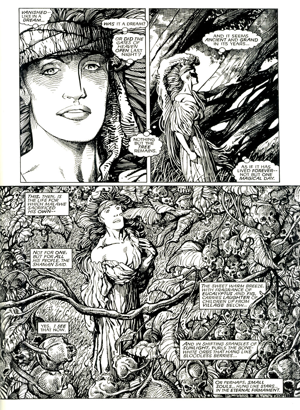 Read online Adastra in Africa comic -  Issue # TPB - 42