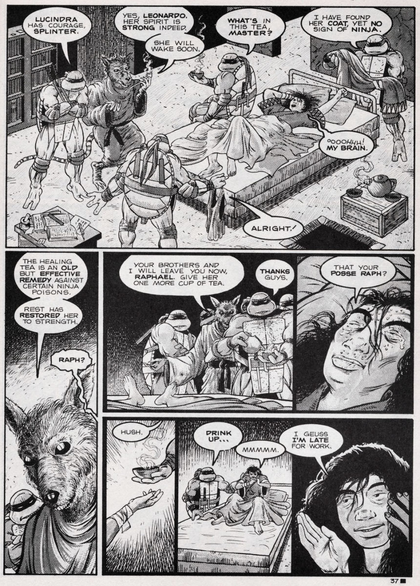 Teenage Mutant Ninja Turtles (1984) Issue #44 #44 - English 37