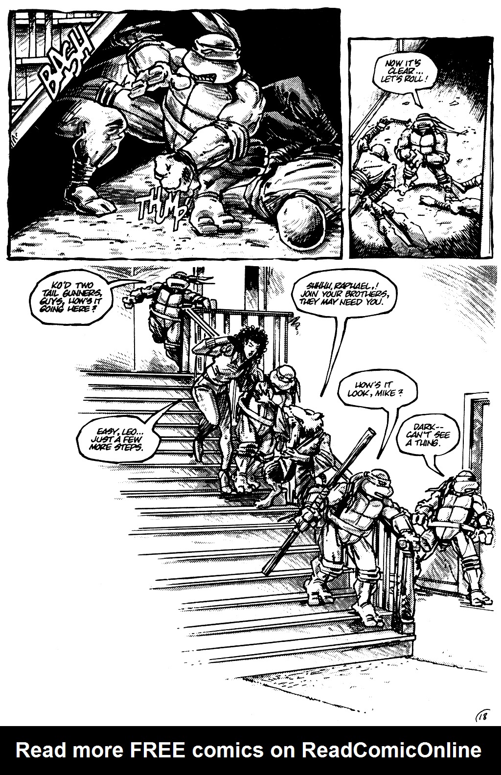 Teenage Mutant Ninja Turtles (1984) Issue #10 #10 - English 19