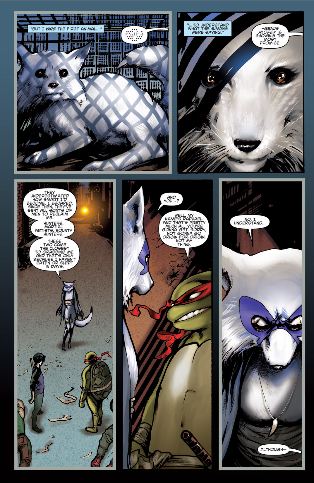 Read online Teenage Mutant Ninja Turtles Micro-Series comic -  Issue #1 - 17