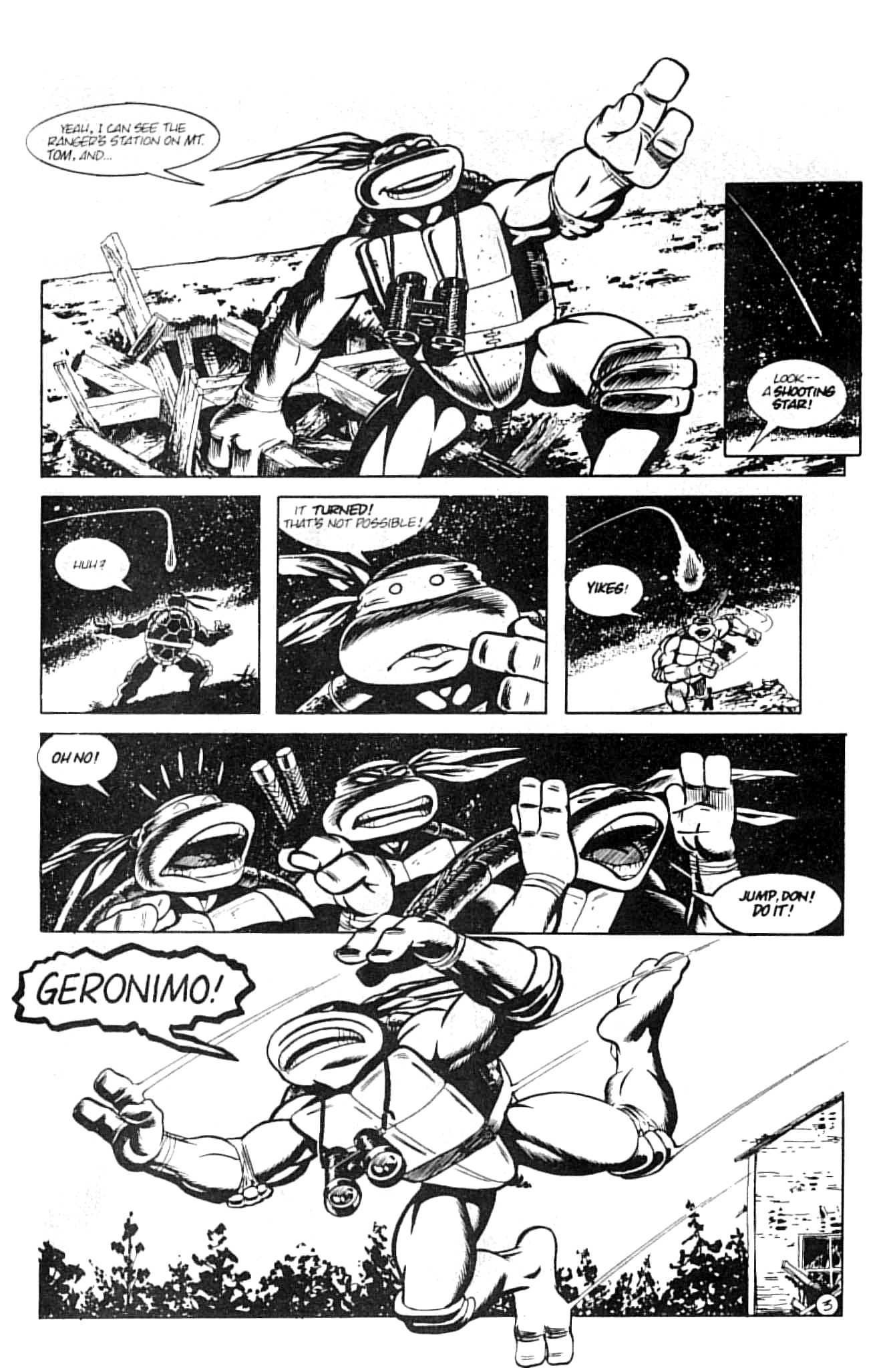 Read online Teenage Mutant Ninja Turtles (1984) comic -  Issue #13 - 7
