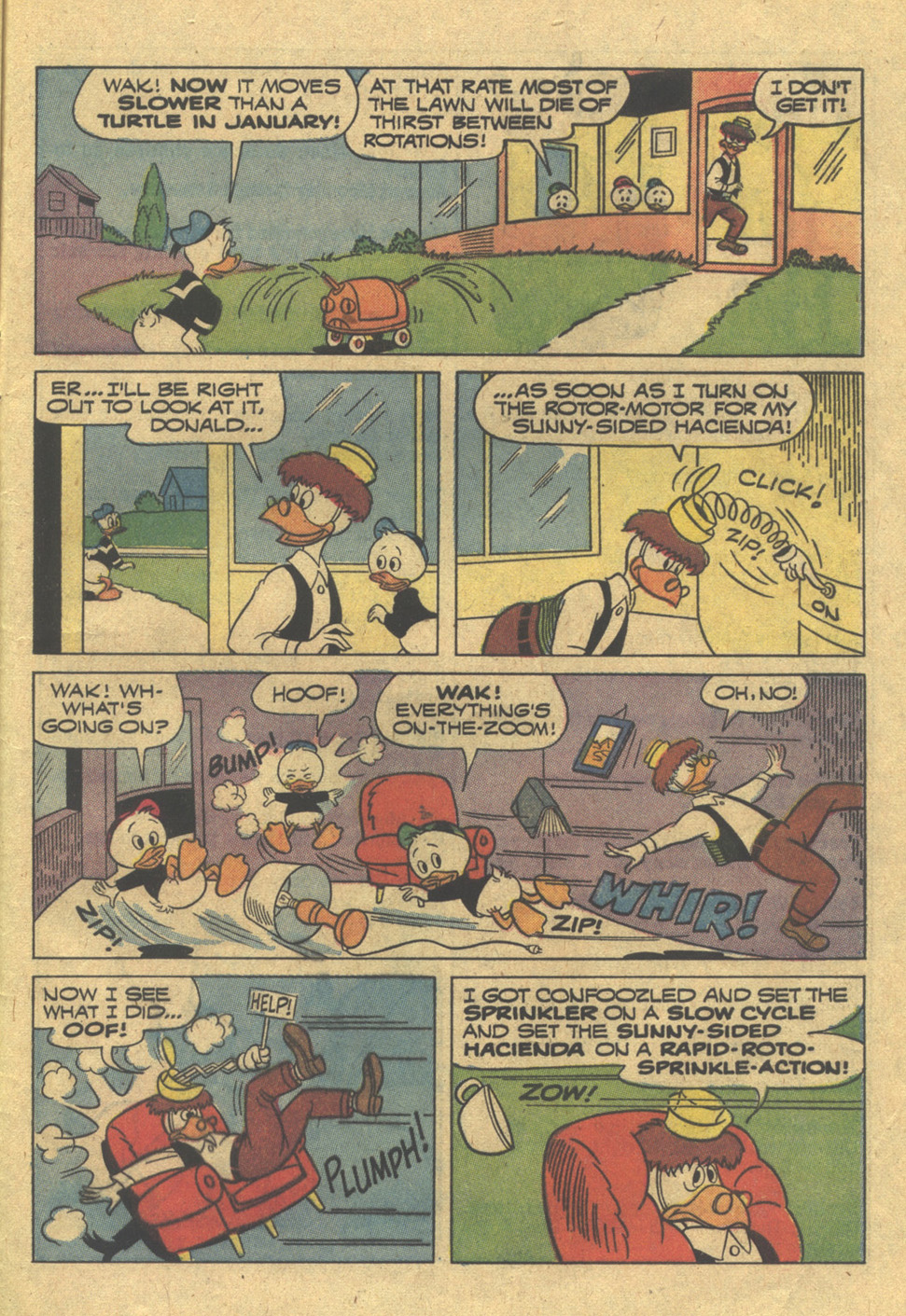Walt Disney's Donald Duck (1952) issue 149 - Page 29
